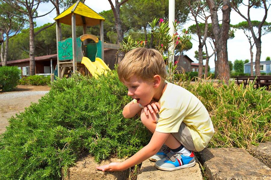 Camping Orbetello - Camping 3* di Albinia - regione Toscana - Photo 2