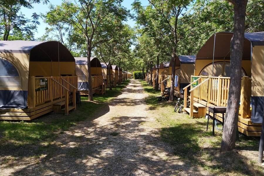 Camping Le Capanne - Camping 3* di Marina Di Bibbona - regione Toscana - Photo 0