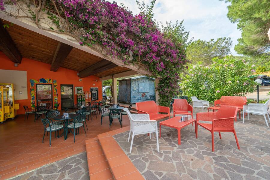 Camping Rosselba le Palme - Camping 3* de Portoferraio - región Toscana - Photo 2