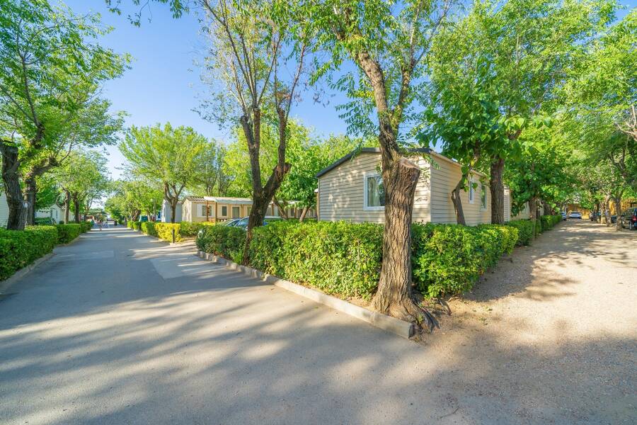 Camping Caballo de Mar - Camping 3* di Pineda de Mar - regione Costa Brava - Photo 1