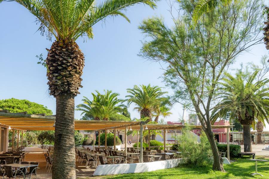 Camping Marina d'Erba Rossa - Camping 4* di Ghisonaccia - regione Corsica - Photo 2