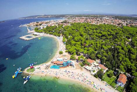 Ljutić
