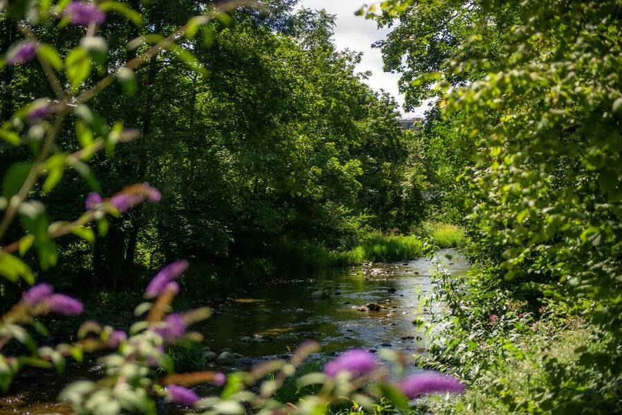 Camping Le Parc de la Fecht - Camping 3* di Munster - regione Alsazia - Photo 1