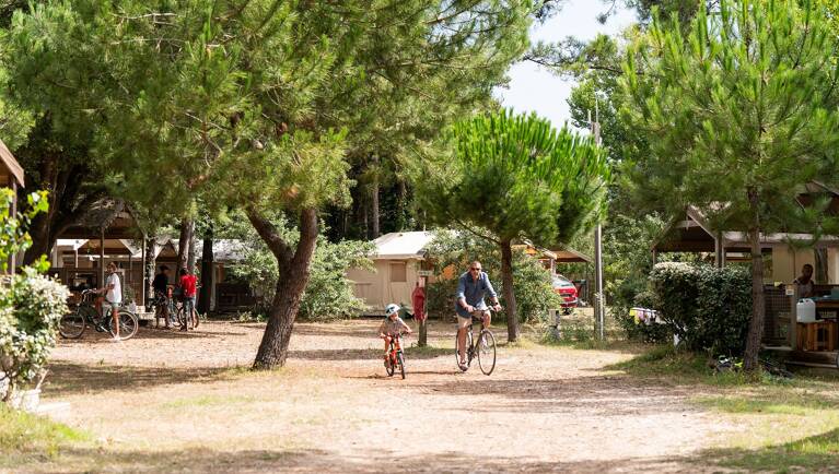 Camping La Côte Sauvage