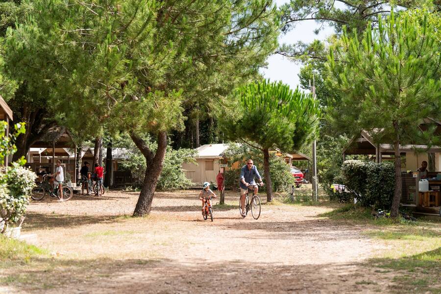 Camping La Côte Sauvage - Camping 3* de Saint-Clément-des-Baleines - región Poitou-Charentes - Photo 0