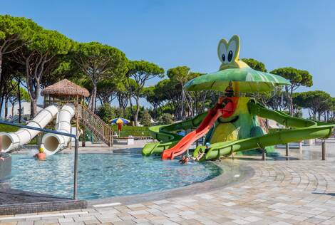 Cavallino