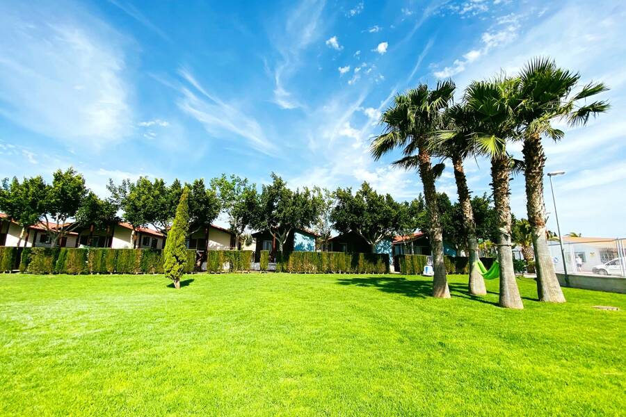 Camping Lo Monte - Camping 4* de Pilar de la Horadada - región Costa Blanca - Photo 2
