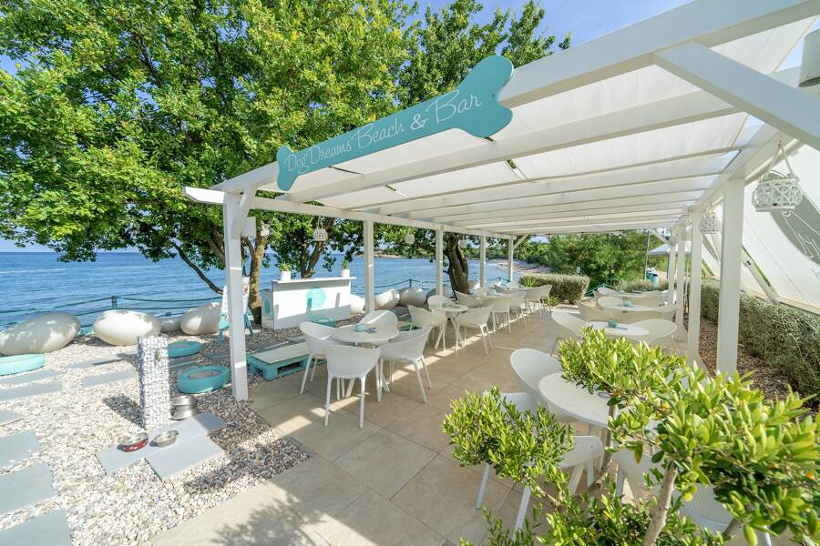 Camping Camp Kastanija - Camping 3* de Novigrad - región Istria - Photo 2