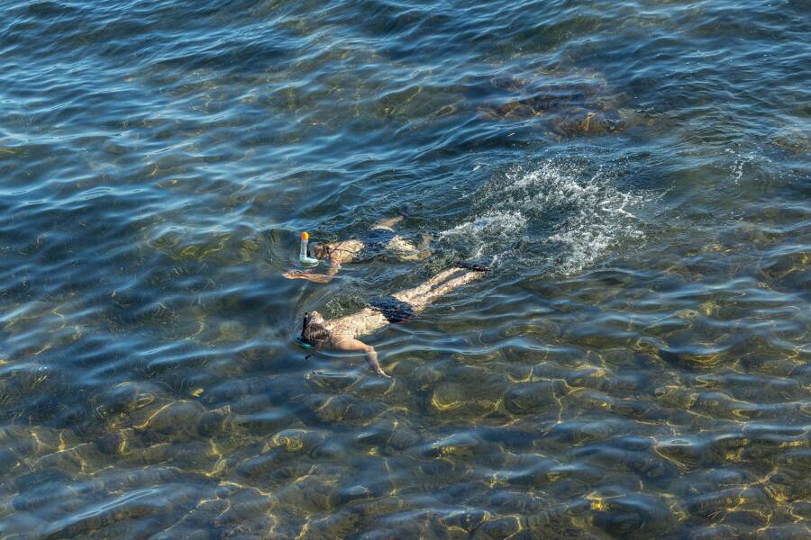 Camping Le Pansard - Camping 4* di La Londe-les-Maures - regione Provenza-Costa-Azzurra - Photo 1