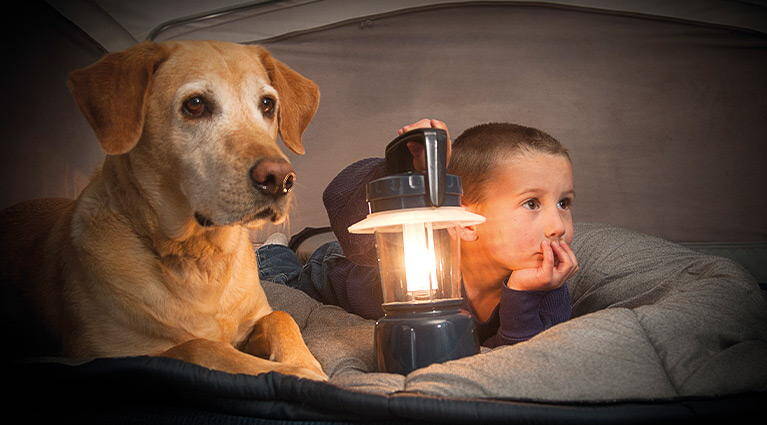 Camping donde se autorizan los perros Camping donde se autorizan los perros