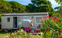 Camping Alquiler Camping Alquiler